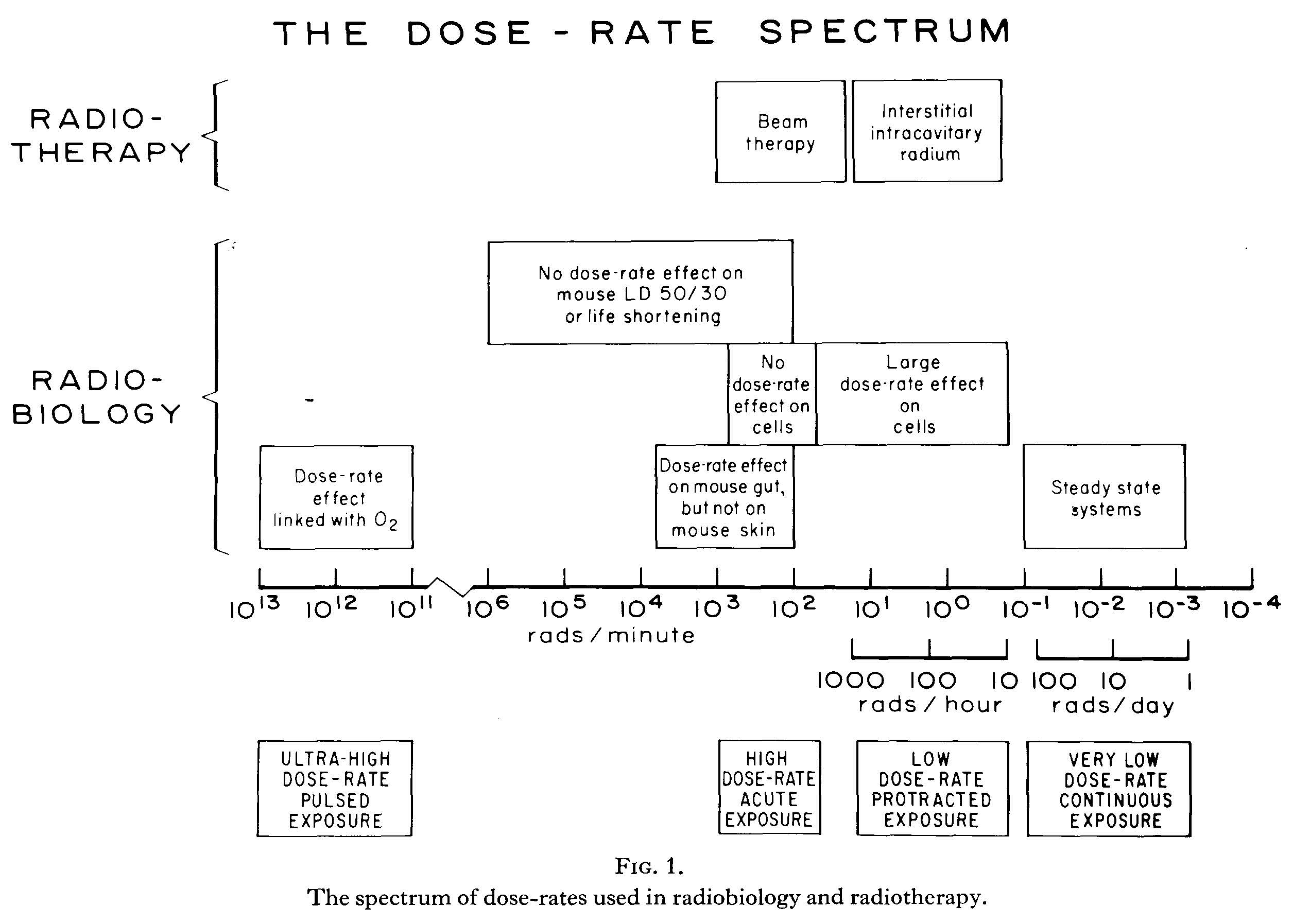 Dose-rate spectrum in radiotherapy and radiobiology Dose-rate spectrum in radiotherapy and radiobiology