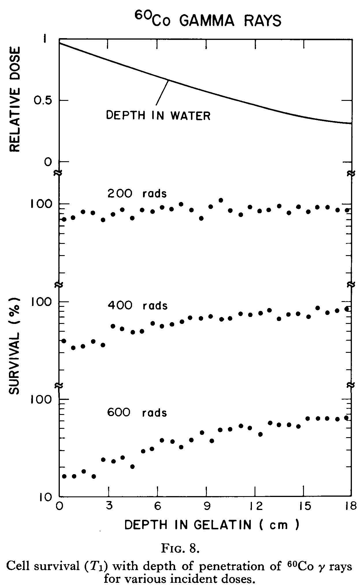 Plot to show cell survival with depth of gamma rays Plot to show cell survival with depth of gamma rays